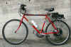 electric bike bicicletta elettrica motore brushless 36V 700W